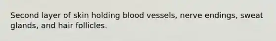 Second layer of skin holding blood vessels, nerve endings, sweat glands, and hair follicles.