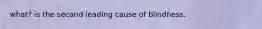 what? is the second leading cause of blindness.