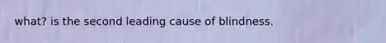 what? is the second leading cause of blindness.