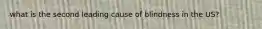 what is the second leading cause of blindness in the US?