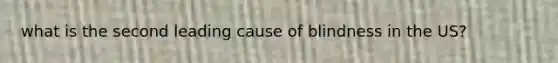 what is the second leading cause of blindness in the US?