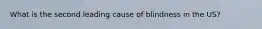 What is the second leading cause of blindness in the US?