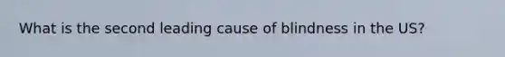 What is the second leading cause of blindness in the US?