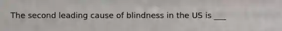 The second leading cause of blindness in the US is ___