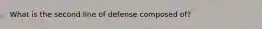 What is the second line of defense composed of?