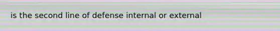 is the second line of defense internal or external