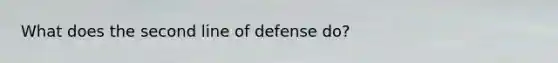 What does the second line of defense do?