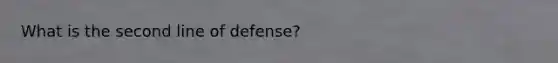 What is the second line of defense?