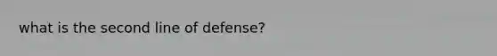 what is the second line of defense?