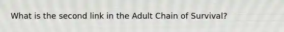 What is the second link in the Adult Chain of Survival?