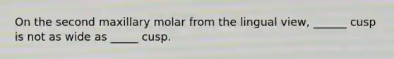 On the second maxillary molar from the lingual view, ______ cusp is not as wide as _____ cusp.