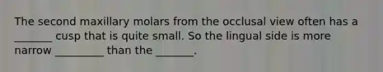 The second maxillary molars from the occlusal view often has a _______ cusp that is quite small. So the lingual side is more narrow _________ than the _______.