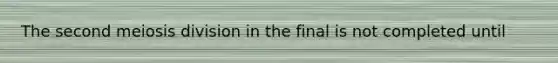 The second meiosis division in the final is not completed until