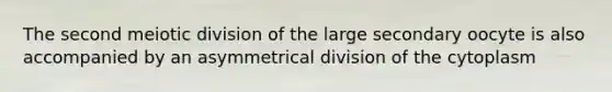 The second meiotic division of the large secondary oocyte is also accompanied by an asymmetrical division of the cytoplasm