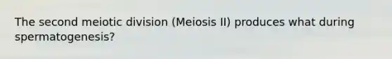 The second meiotic division (Meiosis II) produces what during spermatogenesis?