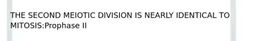 THE SECOND MEIOTIC DIVISION IS NEARLY IDENTICAL TO MITOSIS:Prophase II