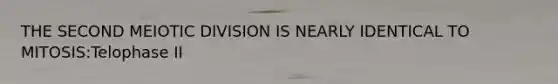 THE SECOND MEIOTIC DIVISION IS NEARLY IDENTICAL TO MITOSIS:Telophase II