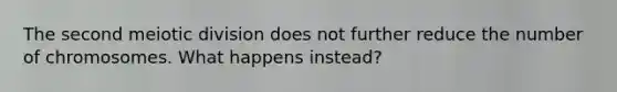 The second meiotic division does not further reduce the number of chromosomes. What happens instead?