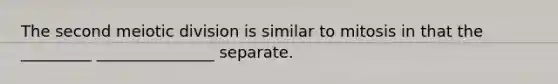 The second meiotic division is similar to mitosis in that the _________ _______________ separate.