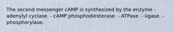 The second messenger cAMP is synthesized by the enzyme - adenylyl cyclase. - cAMP phosphodiesterase. - ATPase. - ligase. - phosphorylase.