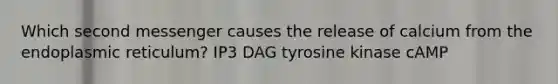 Which second messenger causes the release of calcium from the endoplasmic reticulum? IP3 DAG tyrosine kinase cAMP