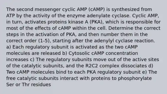 The second messenger cyclic AMP (cAMP) is synthesized from ATP by the activity of the enzyme adenylate cyclase. Cyclic AMP, in turn, activates proteins kinase A (PKA), which is responsible for most of the effects of cAMP within the cell. Determine the correct steps in the activation of PKA, and then number them in the correct order (1-5), starting after the adenylyl cyclase reaction. a) Each regulatory subunit is activated as the two cAMP molecules are released b) Cytosolic cAMP concentration increases c) The regulatory subunits move out of the active sites of the catalytic subunits, and the R2C2 complex dissociates d) Two cAMP molecules bind to each PKA regulatory subunit e) The free catalytic subunits interact with proteins to phosphorylate Ser or Thr residues