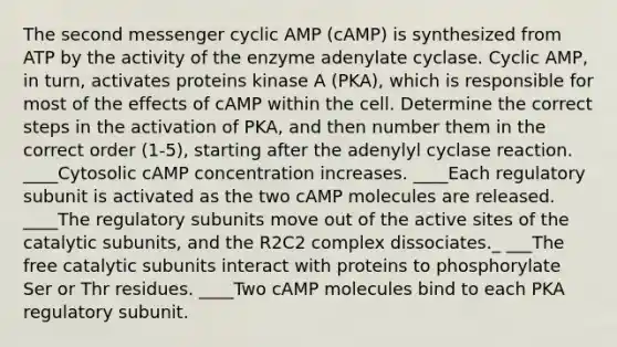 The second messenger cyclic AMP (cAMP) is synthesized from ATP by the activity of the enzyme adenylate cyclase. Cyclic AMP, in turn, activates proteins kinase A (PKA), which is responsible for most of the effects of cAMP within the cell. Determine the correct steps in the activation of PKA, and then number them in the correct order (1-5), starting after the adenylyl cyclase reaction. ____Cytosolic cAMP concentration increases. ____Each regulatory subunit is activated as the two cAMP molecules are released. ____The regulatory subunits move out of the active sites of the catalytic subunits, and the R2C2 complex dissociates._ ___The free catalytic subunits interact with proteins to phosphorylate Ser or Thr residues. ____Two cAMP molecules bind to each PKA regulatory subunit.