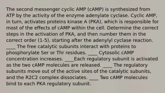 The second messenger cyclic AMP (cAMP) is synthesized from ATP by the activity of the enzyme adenylate cyclase. Cyclic AMP, in turn, activates proteins kinase A (PKA), which is responsible for most of the effects of cAMP within the cell. Determine the correct steps in the activation of PKA, and then number them in the correct order (1-5), starting after the adenylyl cyclase reaction. ____ The free catalytic subunits interact with proteins to phosphorylate Ser or Thr residues. ____ Cytosolic cAMP concentration increases. ____Each regulatory subunit is activated as the two cAMP molecules are released. ____ The regulatory subunits move out of the active sites of the catalytic subunits, and the R2C2 complex dissociates. ____ Two cAMP molecules bind to each PKA regulatory subunit.