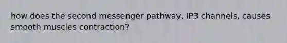 how does the second messenger pathway, IP3 channels, causes smooth muscles contraction?