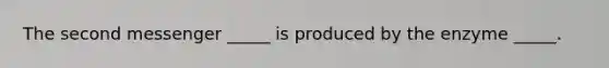 The second messenger _____ is produced by the enzyme _____.