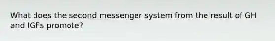 What does the second messenger system from the result of GH and IGFs promote?