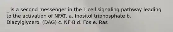 _ is a second messenger in the T-cell signaling pathway leading to the activation of NFAT. a. Inositol triphosphate b. Diacylglycerol (DAG) c. NF-B d. Fos e. Ras