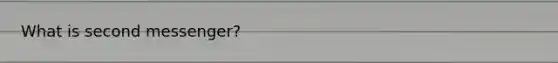 What is second messenger?