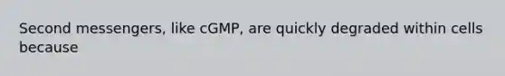 Second messengers, like cGMP, are quickly degraded within cells because