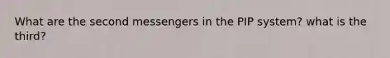 What are the second messengers in the PIP system? what is the third?