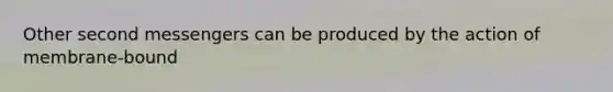 Other second messengers can be produced by the action of membrane-bound