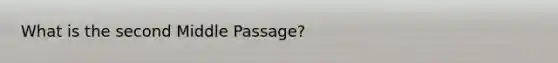 What is the second Middle Passage?