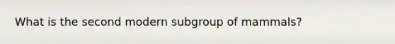 What is the second modern subgroup of mammals?