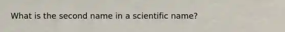 What is the second name in a scientific name?