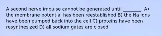 A second nerve impulse cannot be generated until ________. A) the membrane potential has been reestablished B) the Na ions have been pumped back into the cell C) proteins have been resynthesized D) all sodium gates are closed