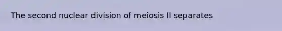 The second nuclear division of meiosis II separates