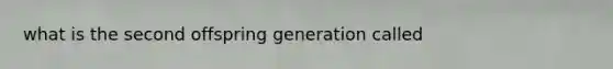 what is the second offspring generation called