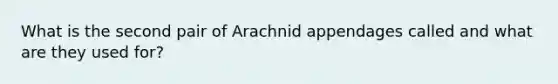 What is the second pair of Arachnid appendages called and what are they used for?