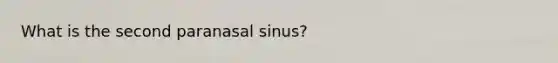 What is the second paranasal sinus?