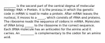 ________ is the second part of the central dogma of molecular biology: RNA → Protein. It is the process in which the genetic code in mRNA is read to make a protein. After mRNA leaves the nucleus, it moves to a _____, which consists of rRNA and proteins. The ribosome reads the sequence of codons in mRNA. Molecules of tRNA bring ______ to the ribosome in the correct sequence. Each tRNA molecule has an anticodon for the amino acid it carries. An _________ is complementary to the codon for an amino acid.