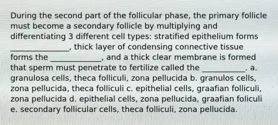 During the second part of the follicular phase, the primary follicle must become a secondary follicle by multiplying and differentiating 3 different cell types: stratified epithelium forms _______________, thick layer of condensing connective tissue forms the _____________, and a thick clear membrane is formed that sperm must penetrate to fertilize called the ___________. a. granulosa cells, theca folliculi, zona pellucida b. granulos cells, zona pellucida, theca folliculi c. epithelial cells, graafian folliculi, zona pellucida d. epithelial cells, zona pellucida, graafian foliculi e. secondary follicular cells, theca folliculi, zona pellucida.