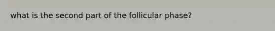 what is the second part of the follicular phase?