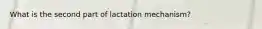 What is the second part of lactation mechanism?