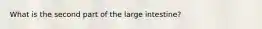 What is the second part of the large intestine?