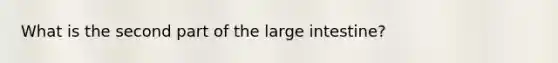 What is the second part of the large intestine?